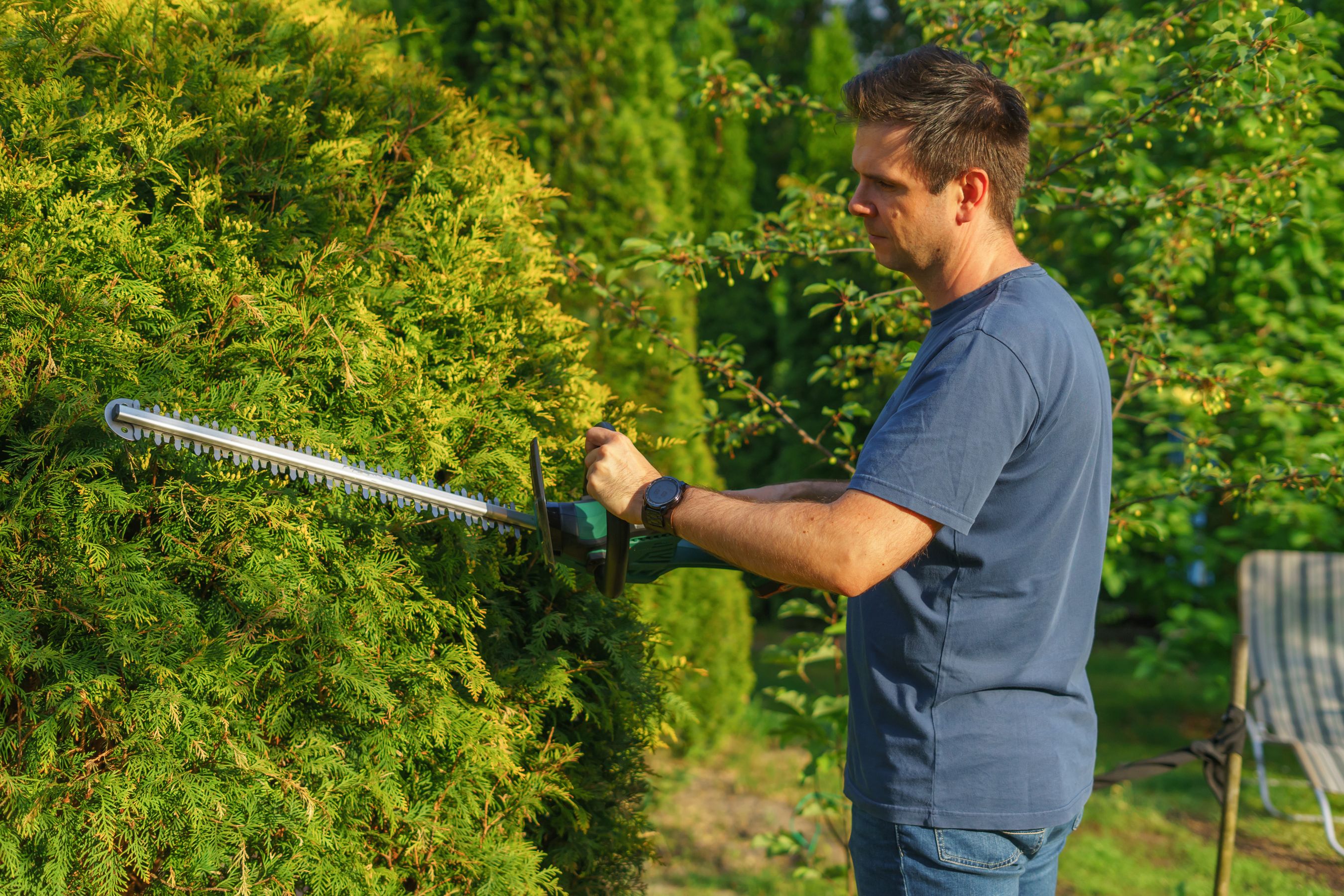 A man trimming a hedge with an electric trimmer in a sunny garden